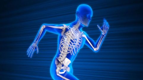Xương người nhẹ hơn xưa do lối sống ít đi lại 